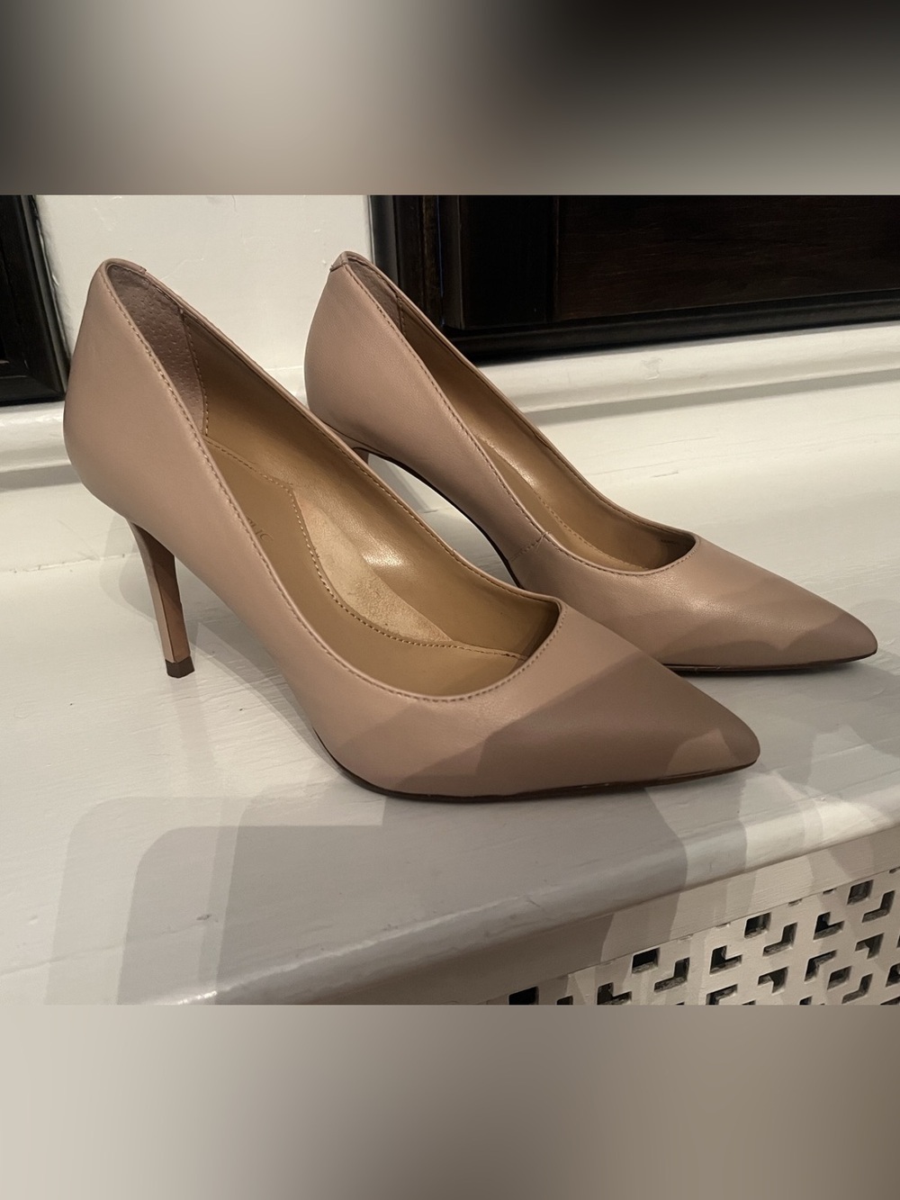 Banana Republic Pointed Toe Pumps Nude